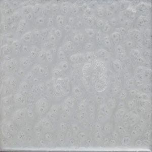 BRIGHT WHITE LFPM2