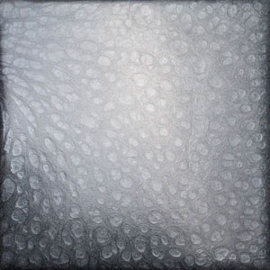 LIGHT GRAY LFPM3